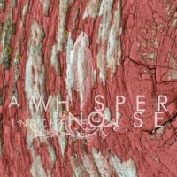 A Whisper in the Noise - To Forget